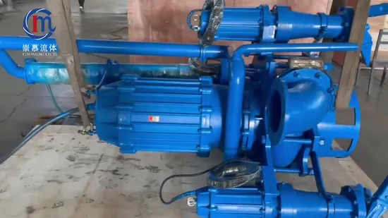 Zjq Дноуглубительные работы на реке Погружной грязевой шламоотстойник Вертикальный центробежный экскаватор для всасывания песка Погружной горнодобывающий насос для минеральной шламы